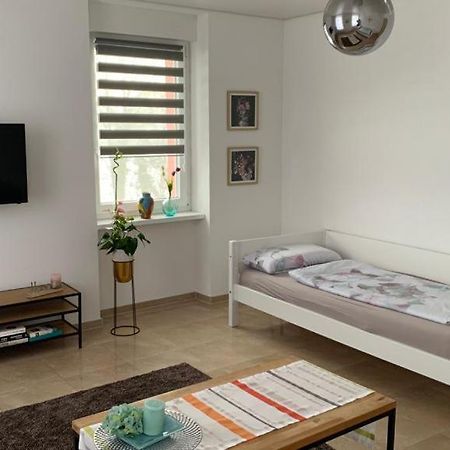 Grenznahe Ferienwohnung mit 4 Schlafzimmern Grenzach-Wyhlen Exterior foto