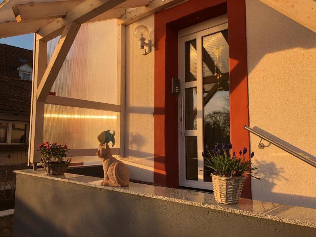 Grenznahe Ferienwohnung mit 4 Schlafzimmern Grenzach-Wyhlen Exterior foto