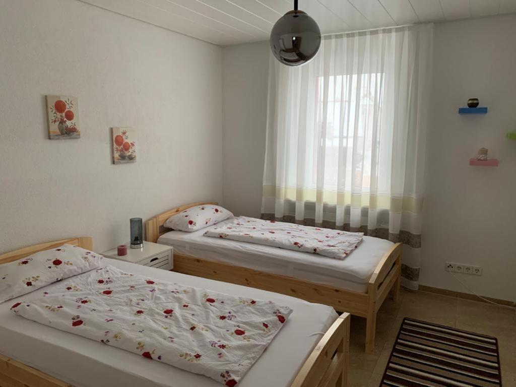 Grenznahe Ferienwohnung mit 4 Schlafzimmern Grenzach-Wyhlen Exterior foto