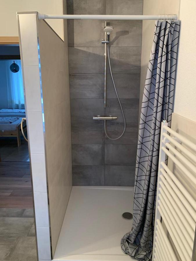 Grenznahe Ferienwohnung mit 4 Schlafzimmern Grenzach-Wyhlen Exterior foto