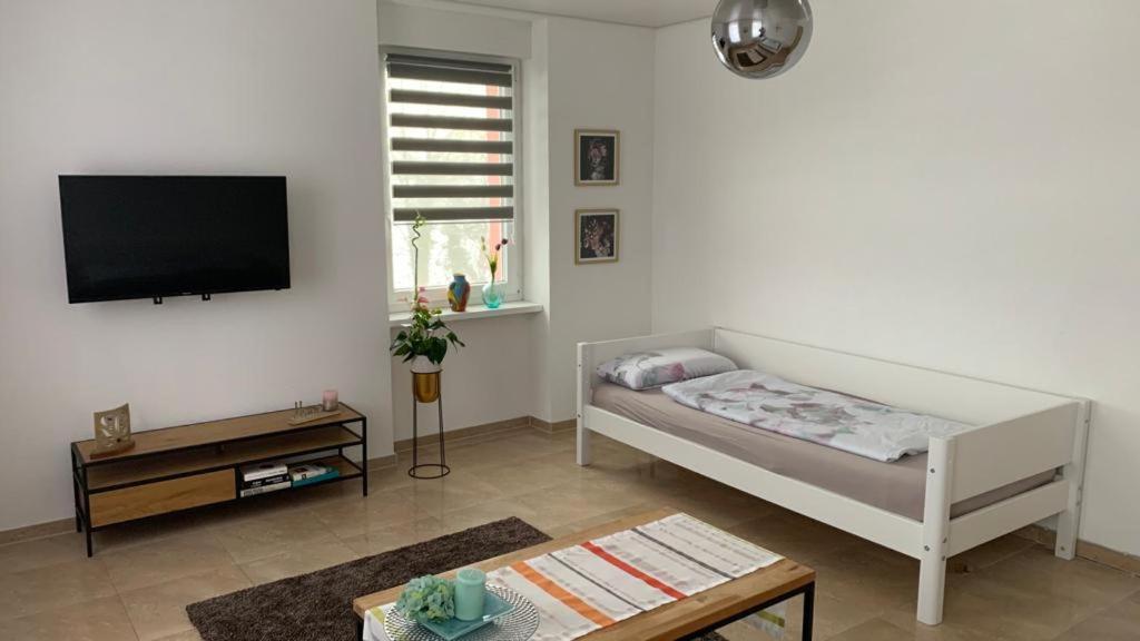 Grenznahe Ferienwohnung mit 4 Schlafzimmern Grenzach-Wyhlen Exterior foto